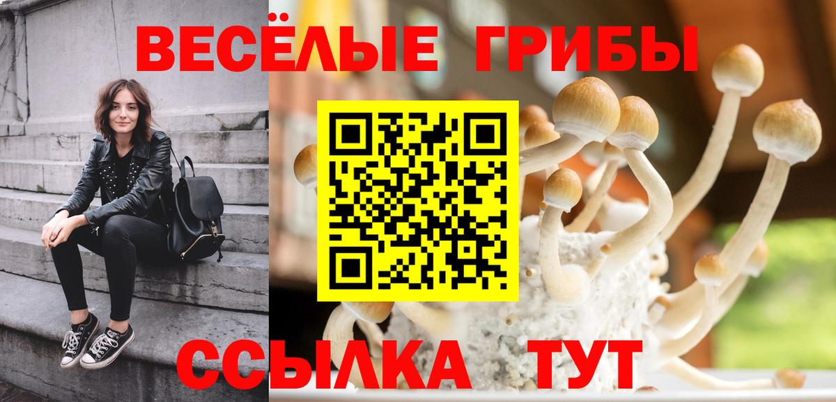 Галлюциногенные грибы MAGIC MUSHROOMS Пушкино