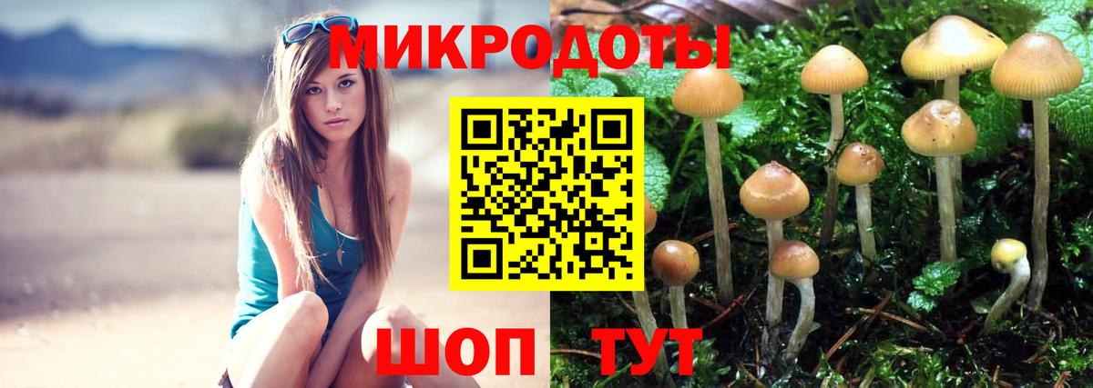 Пушкино  Псилоцибиновые грибы Psilocybe  Вход с VPN  Галлюциногенные грибы ЛСД 